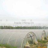Good Promotion Tunnel Greenhouse Film for Vegetables and Flowers thumbnail-2
