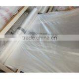 Pre-taped Masking Film(clear ,blue Color ) thumbnail-5
