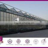 UV Coated Twinwall Hollow Polycarbonate Sheet Greenhouse thumbnail-1