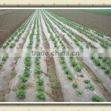 pe Agricultural Mulch Film thumbnail-1