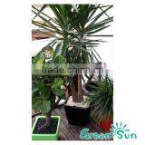 Square Plastic Flower Pots thumbnail-3