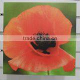 2015 Eco-Friendly Unique Photo Sixy Picture Frame thumbnail-1