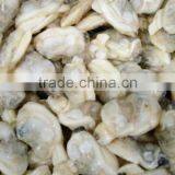 2016 BEST CHOICE CLAM SUPPLIER SHORT NECKED CLAM thumbnail-2