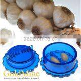 Garlic Quick thumbnail-1