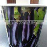 Paper Vegetable Pot thumbnail-1