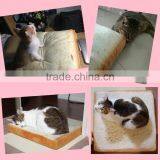 Toast Pillow With Soft Crystal and Beautiful Logo Printing Cat Cushion thumbnail-2