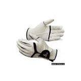 Sell Golf Gloves thumbnail-1