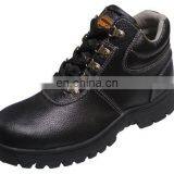 Safety Shoes thumbnail-3
