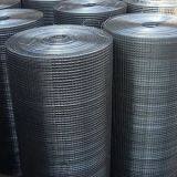 Black Welded Wire Mesh thumbnail-2