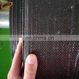 Low Plastic Price 100% High Quality pp Woven Ground Cover ,weed Mat to Stop Grass Growing thumbnail-1