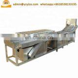 Bubble Type Fruit and Vegetable Washing Machine , Clean Vegetable Processing Line thumbnail-3