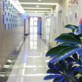 Shandong Cocoly Fertilizer Co.,Ltd. company overview - view 3 thumbnail