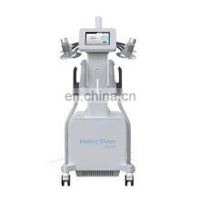 China Supplier 532nm Wavelength 6D Laser EMS Body Shape Slimming Machine Red/Green Light thumbnail-3