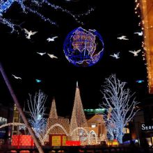 Christmas lights export to the European Union, need to apply for rohs certification?
