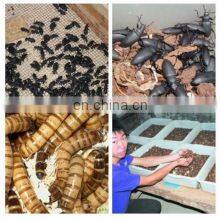 Latest Multifunctional Full Automatic Meal Worm Sorting Machine Mealworm Separating Machine thumbnail-3