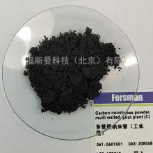 Forsman Carbon nanotubes powder , multi walled , pilot plant  308068-56-6
