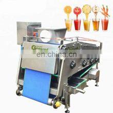 Industrial Cold Press Belt Type Apple Juice Extraction Machine Juicer Machine thumbnail-4