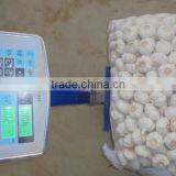 Chinese Pure White Garlic New Crop 2016 Fresh Best Qaulity thumbnail-5