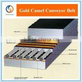 Heat Resistant Wire Mesh Conveyor Belt
