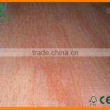 Shiny Bintangor Veneer for Interior Decoration Form China Wood Factory thumbnail-6