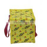 Colorful Good Quality Insulated Bag Portable Cooler Bag Ice Bag thumbnail-3