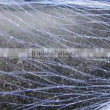 PE Anti Bird Net (24x24, 28x28 ) / Fish Got to a Fishing Net