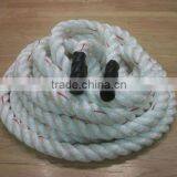 Poly Dac thumbnail-1