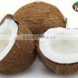ORGANIC EXTRA VIRGIN COCONUT OIL IN BULK PACKING WITH COMPETITIVE PRICE IN HOT SALE thumbnail-3