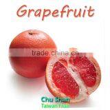 Grade A Fresh Grapefruit thumbnail-2