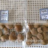 Supply with Chinese Bulk Spicy flavored Roasted Apricot Kernels in Shell