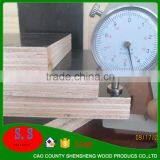 10mm 12mm15mm 18mm 20mm 25mm Poplar Sheet Black or Brown Construction Formwork Materials From Plywood Factory thumbnail-6