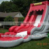 Backyard Inflatable Water Slides