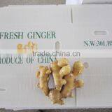 2014 New Crop Top Quality Fresh Ginger Market Price for Ginger thumbnail-2