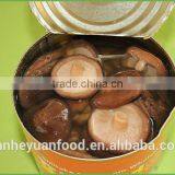 Good Quality Canned Shiitake Mushroom thumbnail-1