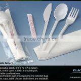 Plastic disposable picnic cutlery