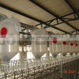 *Automatic Dry Wet Pig Feeder|Nursery Feeder For Pig Farm thumbnail-3