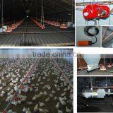Automatic Poultry Farming Equipment for Broiler Breeder Chicken thumbnail-3