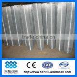 Weld Wire Mesh /hot-dipped Galvanized Welded Wire Mesh Panel