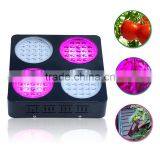 High Input 600W Light Grow Led Double Lens Grow Lamps thumbnail-3
