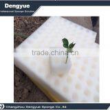Agricultural Polyurethane High Densuty Fast Growing Plant Seed Foam/sponge Tray thumbnail-1
