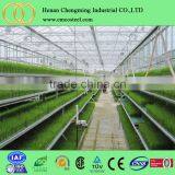 Plastic Film Vegetable Greenhouses thumbnail-5
