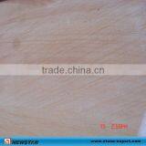 Indian Rainbow Sandstone Wall Clading thumbnail-1