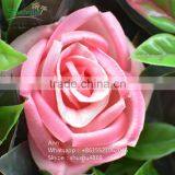 SAST-70001 Cheap Fake Flower Wedding Flower Wall Real Touch Artificial Flower Wall thumbnail-6