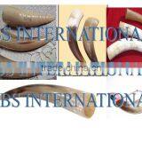 Ox White Drinking Horns thumbnail-1