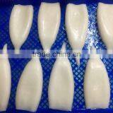 SQUID TUBE FROZEN for Supermarket thumbnail-2