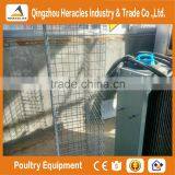 Trade Assurance Factory Price H Type Chicken Layer Cage for Broiler thumbnail-6