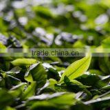 Agra Boutique Co., Ltd. company overview - view 3 thumbnail