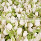 Taiwan Agra Boutique Organic Jasmine Dried Flower Tea thumbnail-6