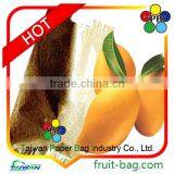 TPBI Taiwan Kate Mango Paper Bag Protective Waterproof Cover thumbnail-1