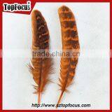 Natural Ringneck Rounds Cheap Dyed Pheasant Feathers Sale thumbnail-2